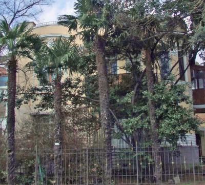 Прикрепленное изображение: DSCF6592.jpg